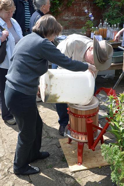 10. Apples go into the press.jpg